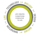 Biomimicry - a key enabler for regenerative business
